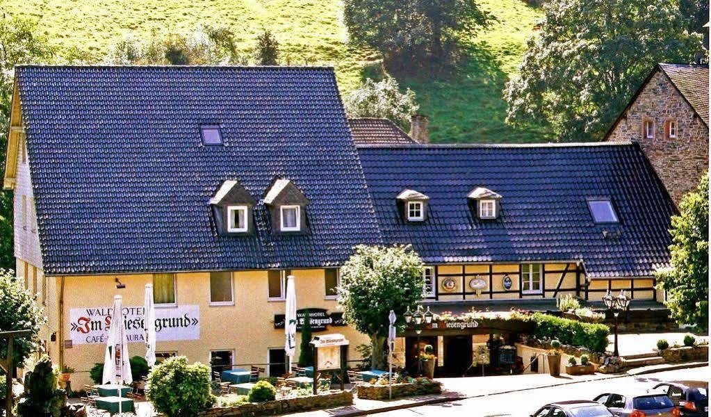 Waldhotel Im Wiesengrund Hürtgenwald Exteriör bild