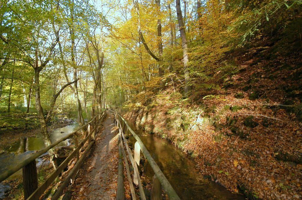 Waldhotel Im Wiesengrund Hürtgenwald Exteriör bild